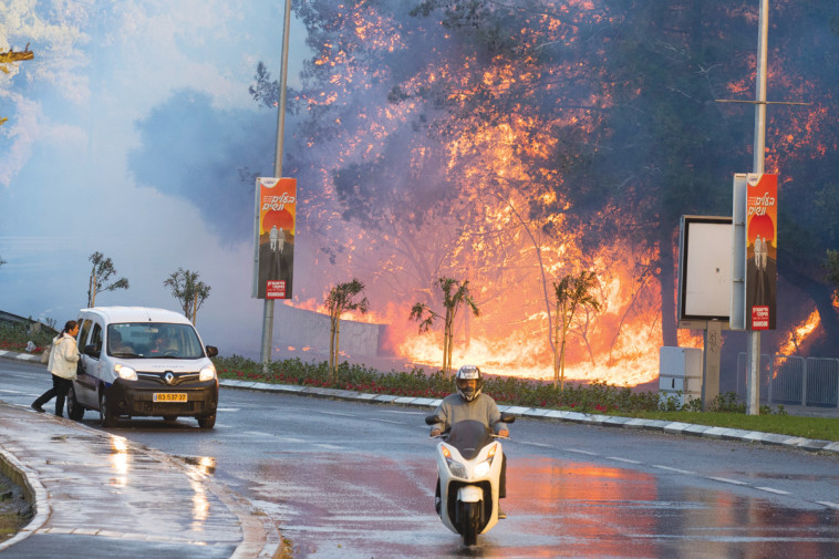 השריפה בחיפה, לפני כחודש וחצי. צילום: AFP