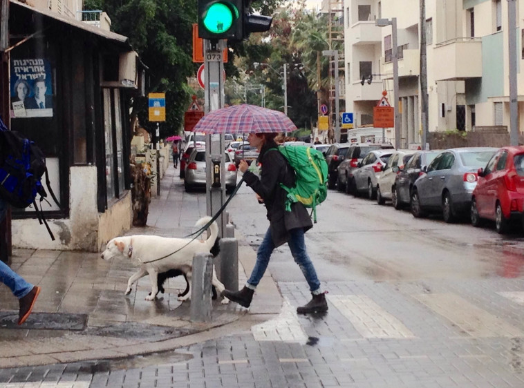 גשם הבוקר בתל אביב. צילום: אבשלום ששוני