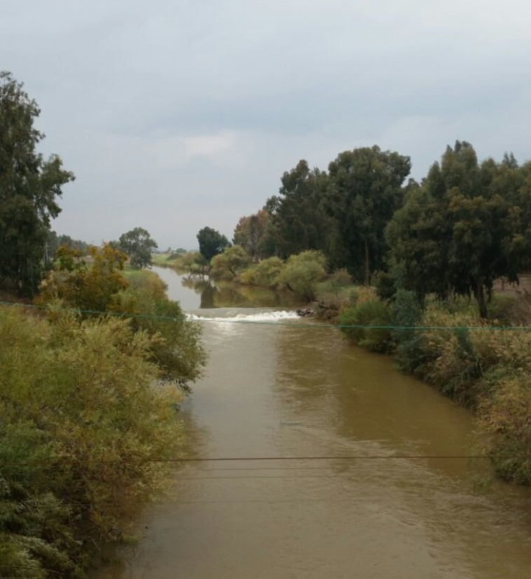 נהרות הצפון, השבת. צילום: רשות הכנרת