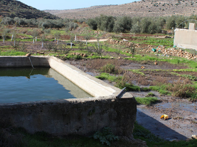 שיתוף פעולה מתחת לאף הרשויות. מי שופכין בוואדי פוכין, צילום: ירון רוזנטל