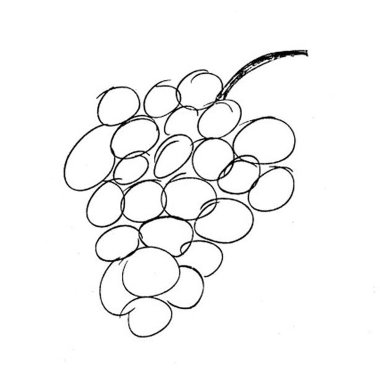 אשכול הענבים שצייר המדען שבדק את גלר. צילום: CIA