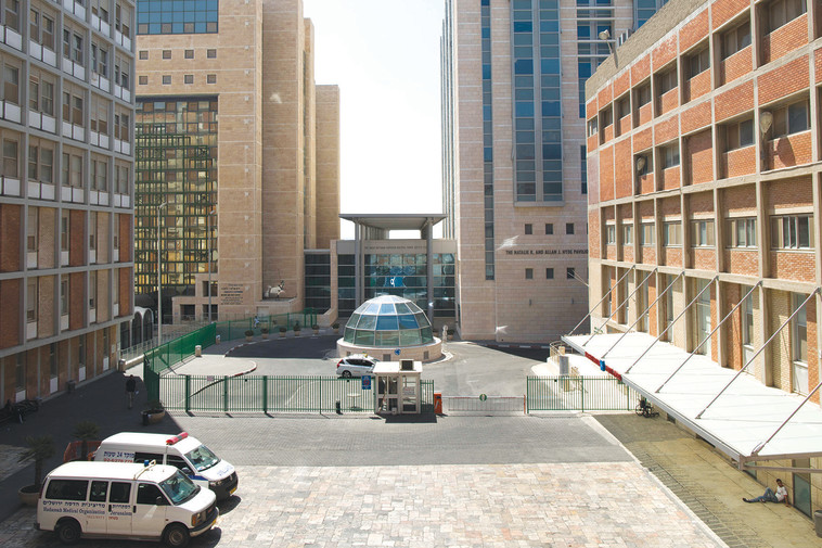 הדסה עין כרם