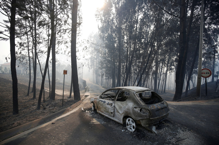 נזקי השריפה בפורטוגל. צילום: רויטרס