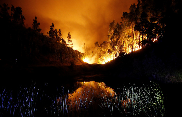 השריפה בפורטוגל, הלילה. צילום: רויטרס