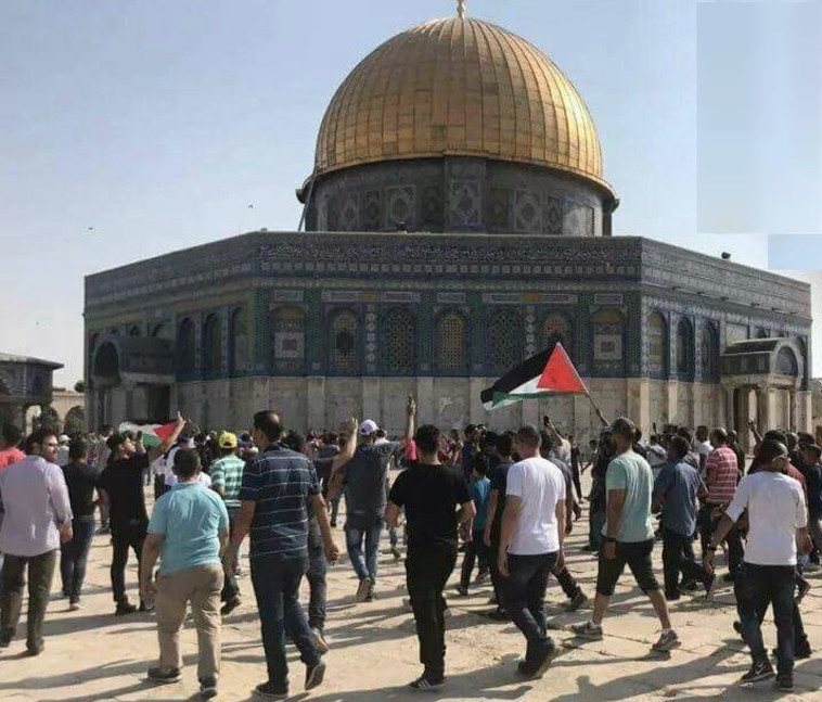 המתפללים המוסלמים עם דגלי פלסטין במהלך המהומות אתמול. צילום: הרשתות הערביות