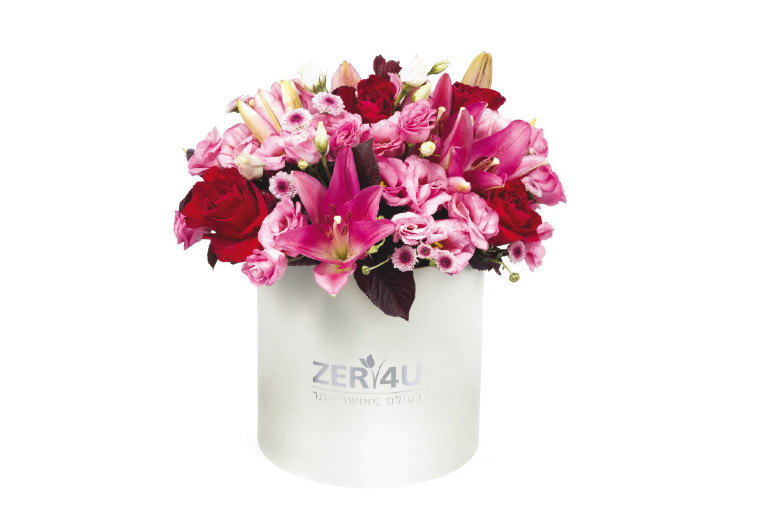 מתוך קולקציית זרים לאוהבים של רשת ZER4U