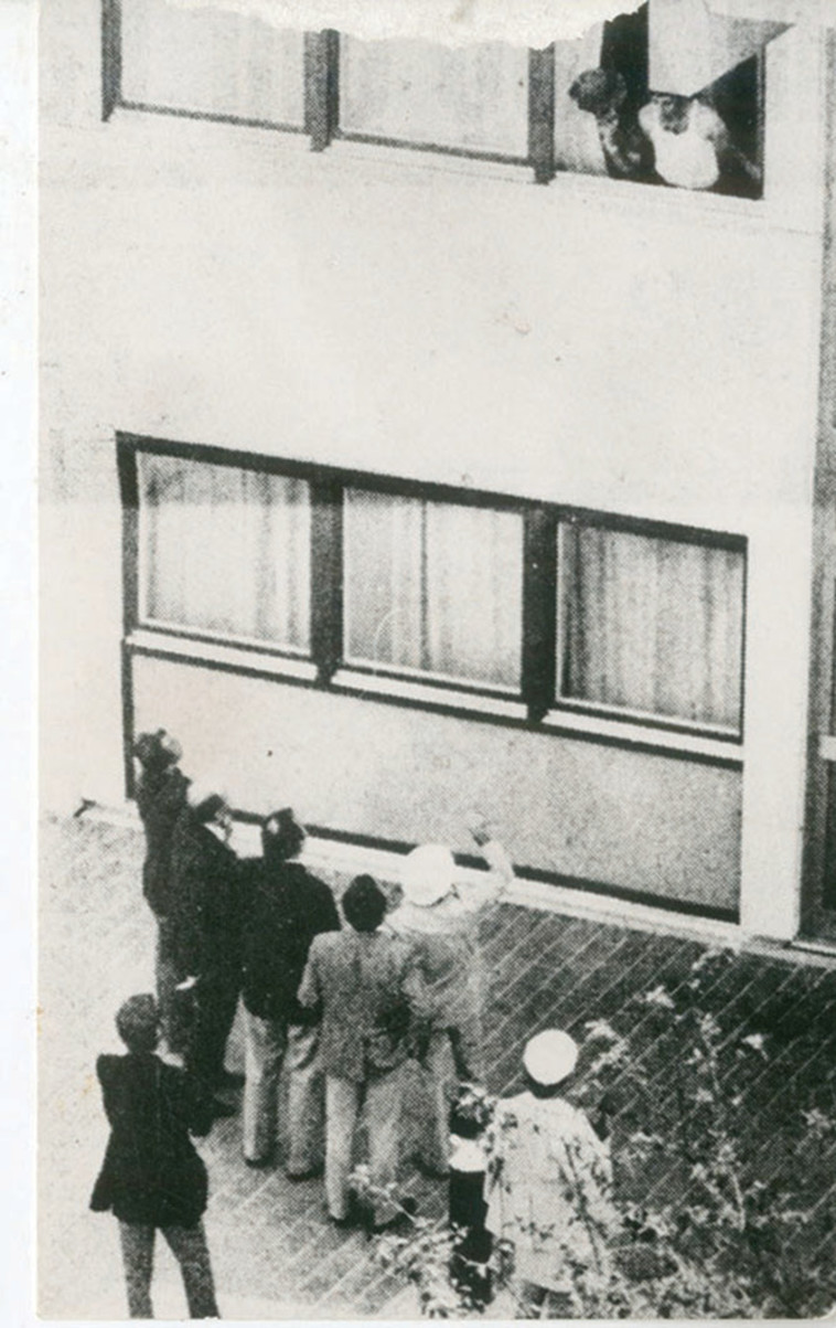 הטבח במינכן