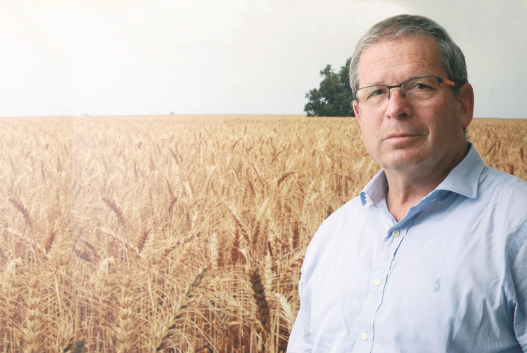 אבשלום וילן