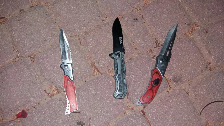 כלי הנשק שנתפסו באשקלון, צילום: דוברות המשטרה