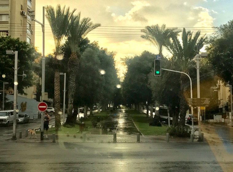 כבישים חלקים הבוקר בתל אביב. צילום: אבשלום ששוני