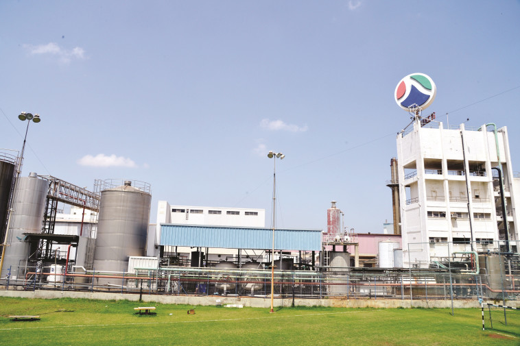 מפעלי תנובה