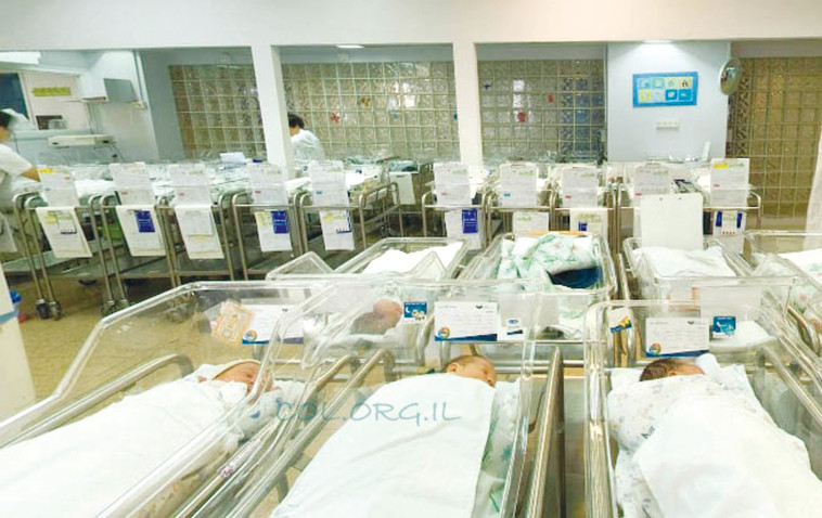 הפגייה בבית החולים לניאדו