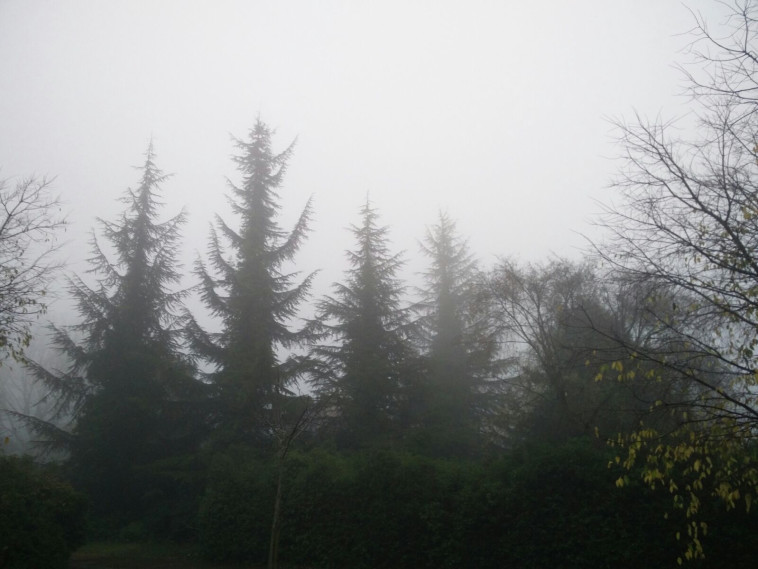 מזג באוויר הסוער גבה קורבנות, שטפונות והצפות. צילום: אלה שלומקוביץ