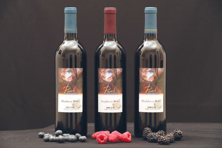 סדרת שיכרי פירות יער חדשים מיקב הבוטיק Pasck