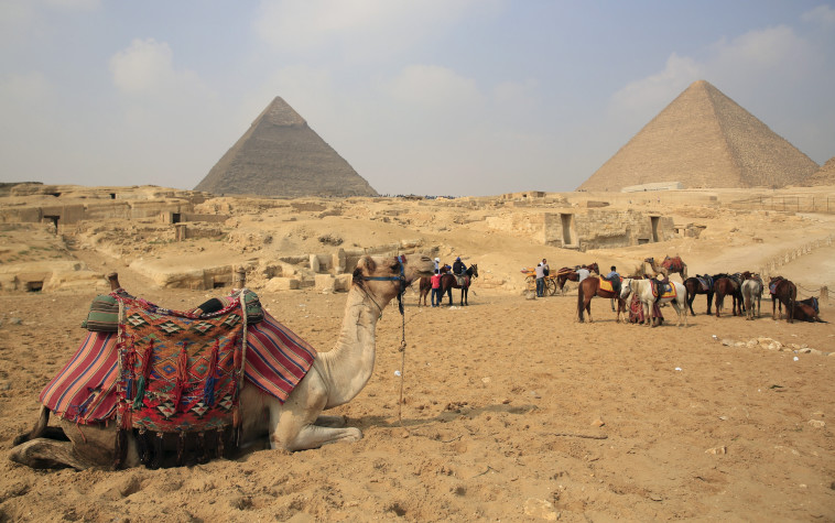 הפירמידות בגיזה (צילום: רויטרס)