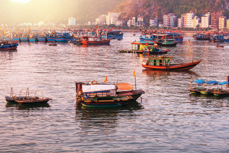 מפרץ האלונג בהאנוי, וייטנאם. צילום: אינג אימג