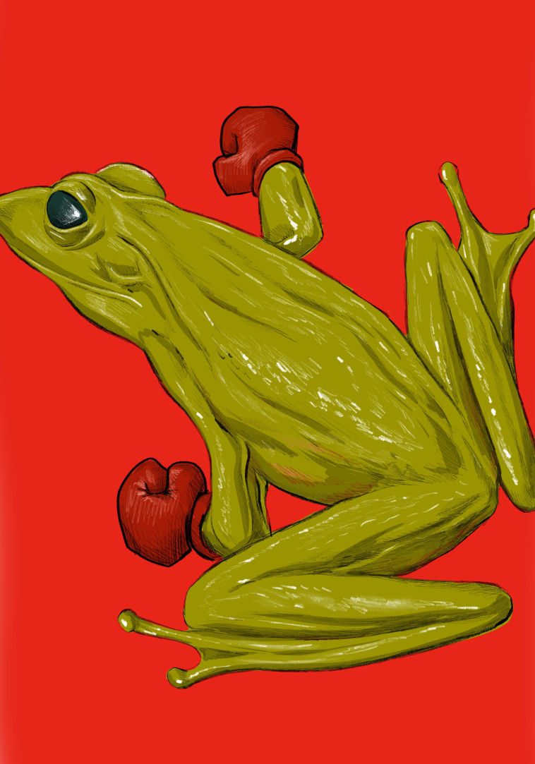 צפרדע  (צילום: ללא)