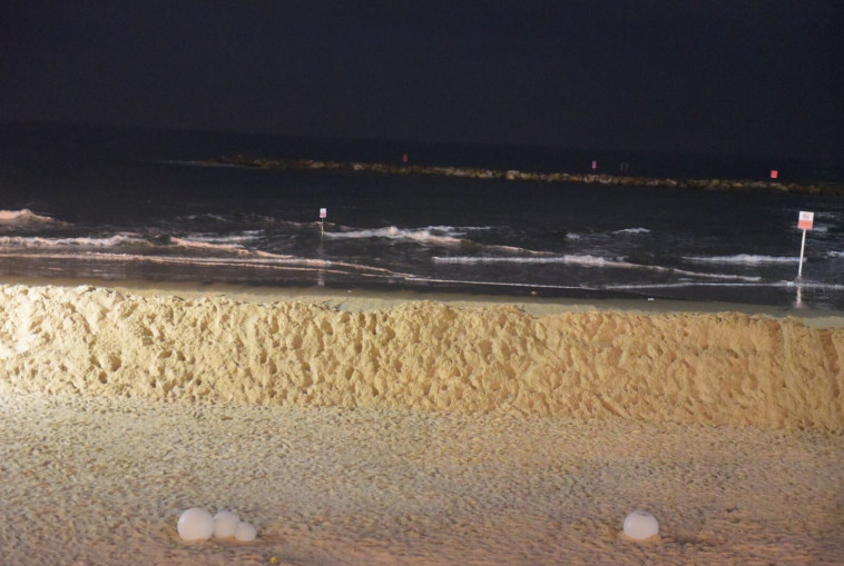 סוללות העפר בחופי ת"א. צילום: אבשלום ששוני