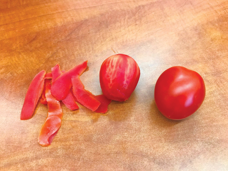 עגבניית דורה של הזרע. צילום: נילי שניר