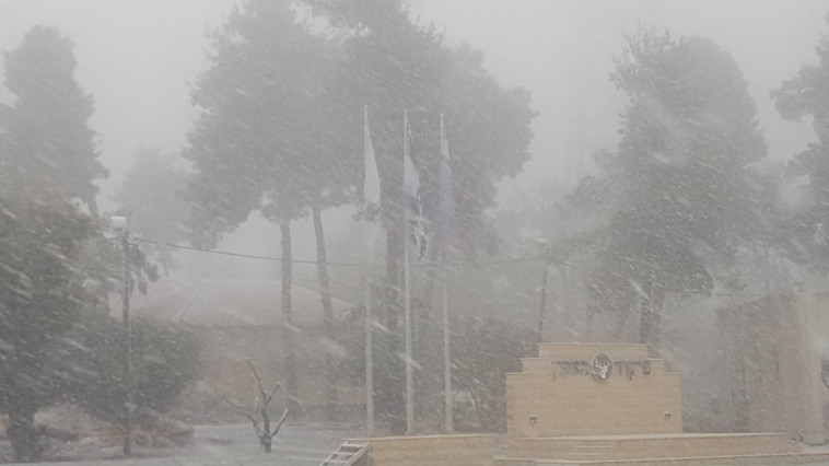 שלג ראשון בסאסא שבגליל העליון. צילום: מיכל צורן