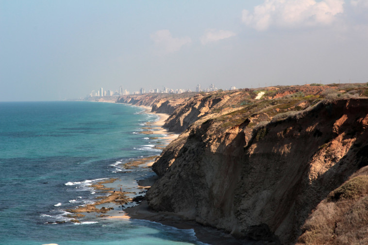 אפולוניה. צילום: יעקב שקולניק