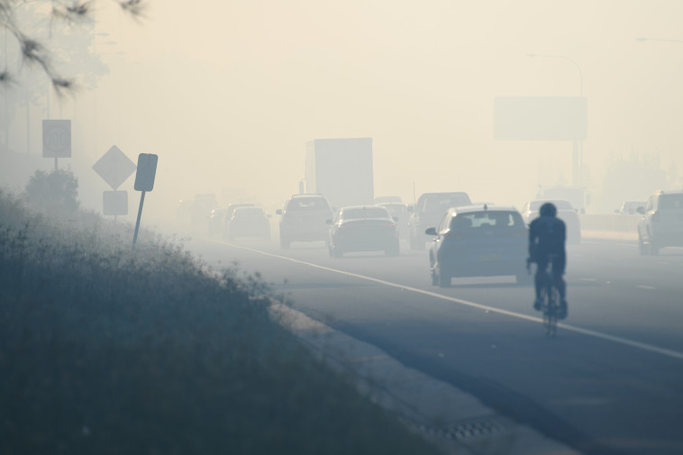 רכבים נוסעים בכביש אפוף עשן מהשריפות בסידני. צילום: רויטרס