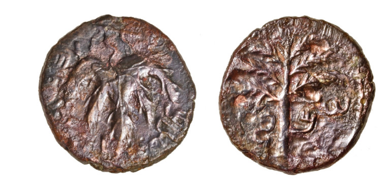  מטבע מימי בר כוכבא. צילום: דוברות מתפ&quot;ש 