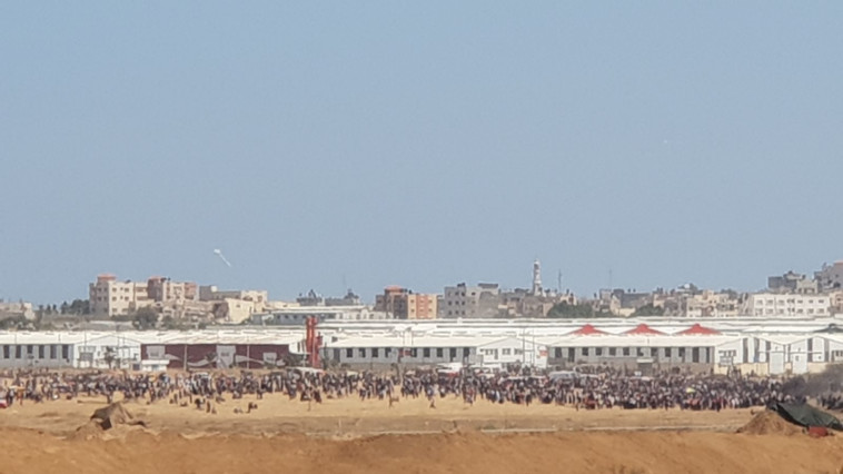 אלפים משתתפים בהפגנות. צילום: טל לב רם