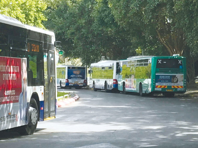 אוטובוסים (אילוסטרציה)