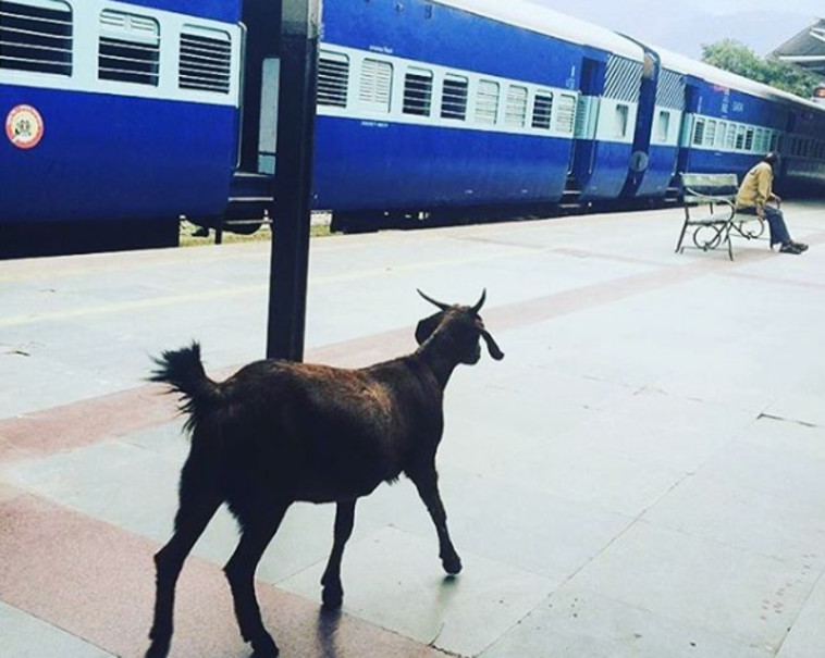 תחנת רכבת בהודו. דרך אינסטגרם