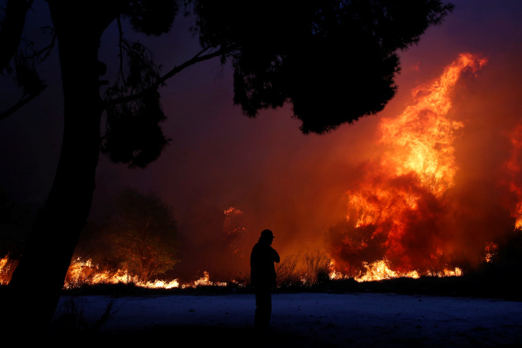שריפות ביוון (צילום: רויטרס)