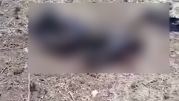 גופת הטייס הסורי שנהרג. צילום מסך