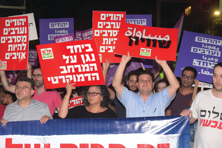  ח&quot;כים מהרשימה המשותפת מפגינים נגד חוק הלאום. צילום: אבשלום ששוני