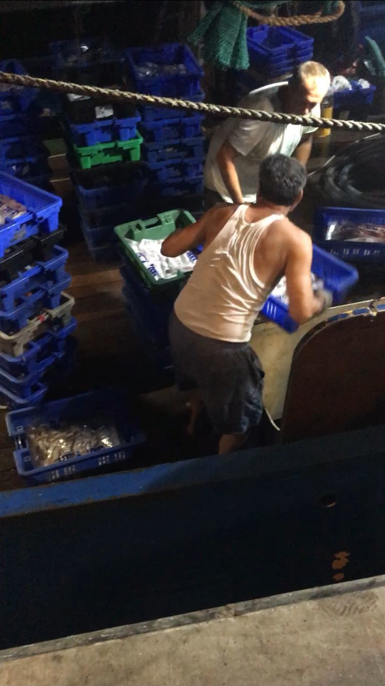 דיג באמצעות ספינות מכמורת בחודש יולי, בניגוד לחוק. צילום: החברה להגנת הטבע