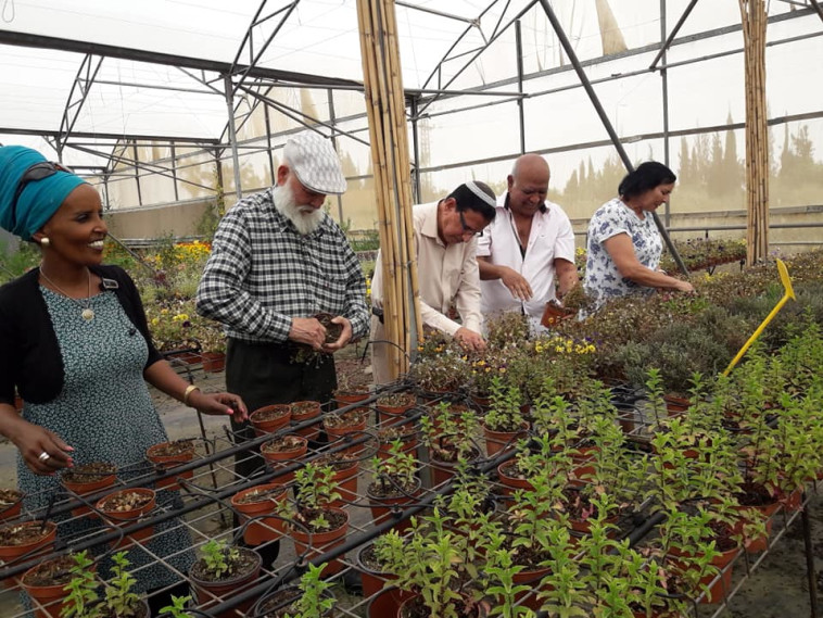 עובדים בכפר החקלאי. צילום: גאולה הדראי 