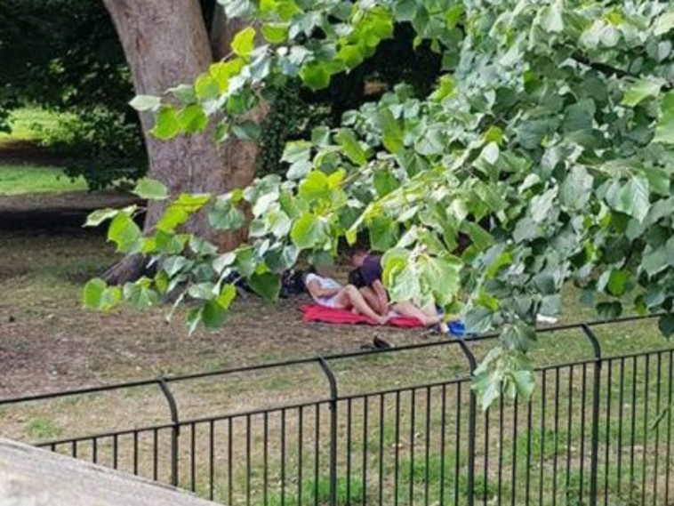 עדי ראייה מיהרו לצלם את חבורת החרמנים. בצילום: הגברים והנשים בפעולה