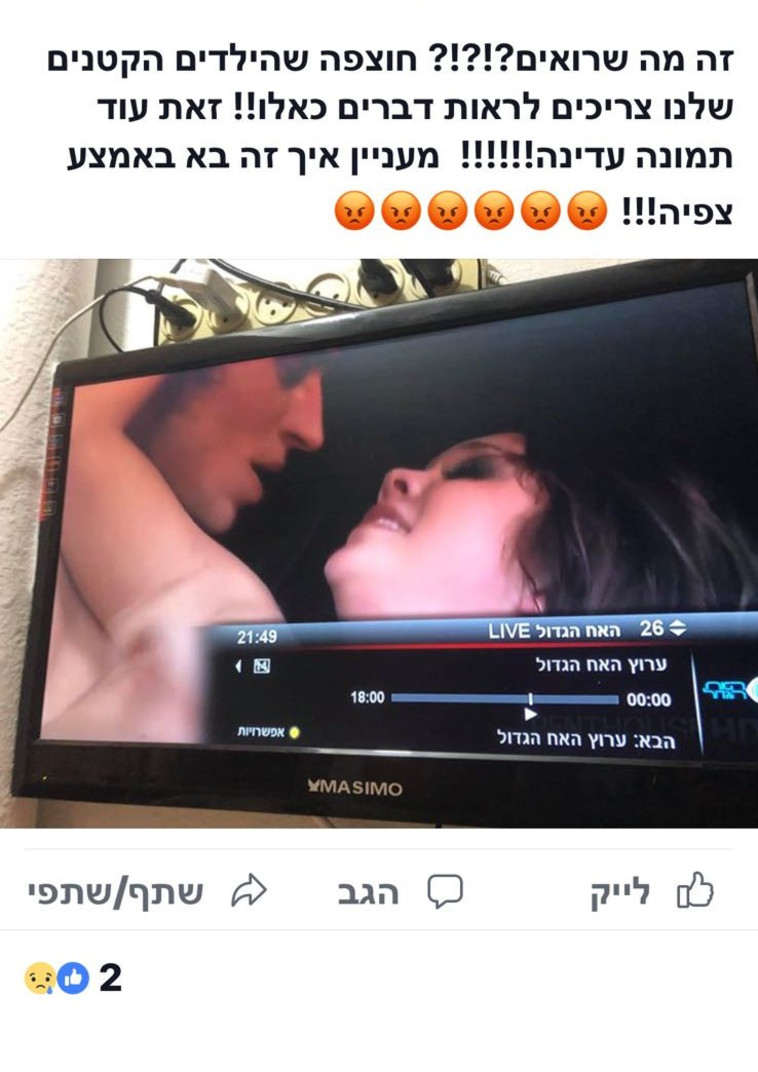 האח הגדול. צילום מסך 