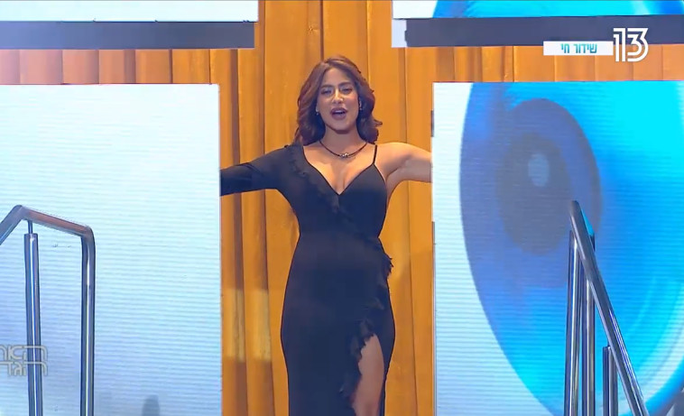 האח הגדול. צילום מסך 