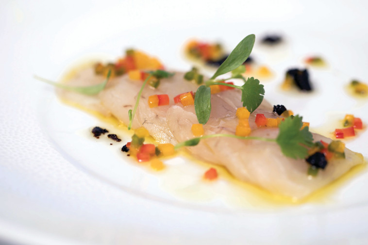 סשימי פלמידה. צילום: אתי נמיר