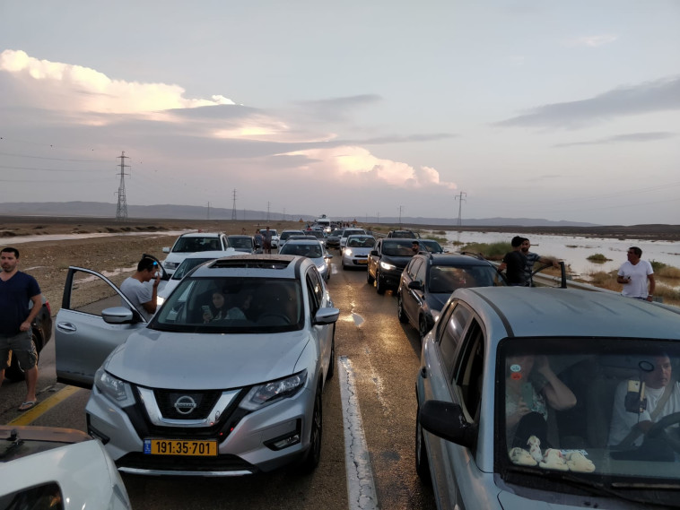 צילום: ענת משה