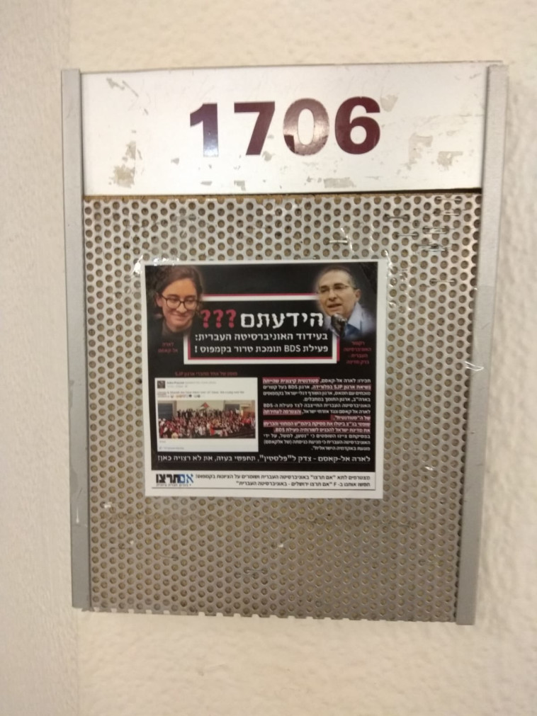 צילום: מירי סרבנוגור