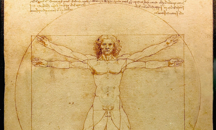 לאונרדו דה וינצ'י