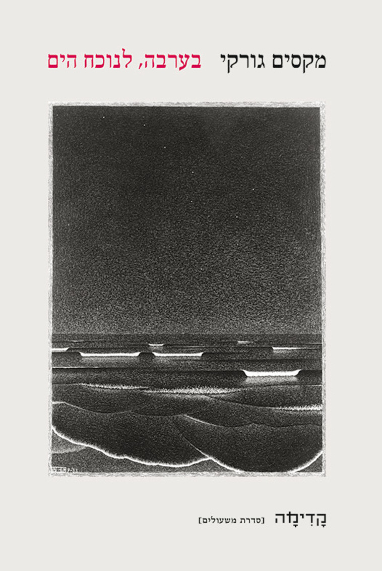 מקסים גורקי. כריכת הספר 