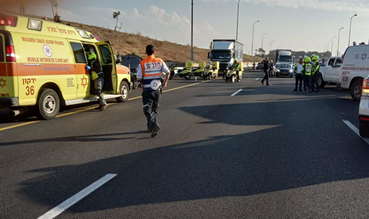 צילום: מד&quot;א