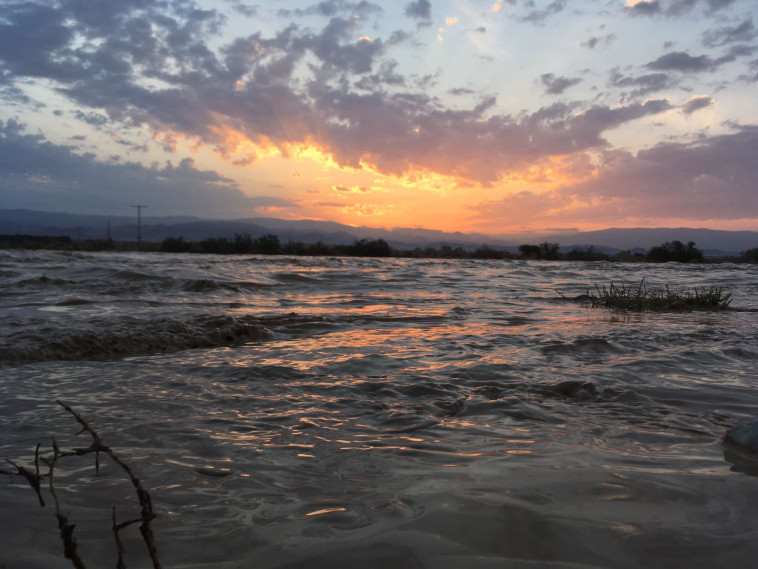נחל ערבה בסמוך לישוב צוקים. צילום: אלעד טבלן