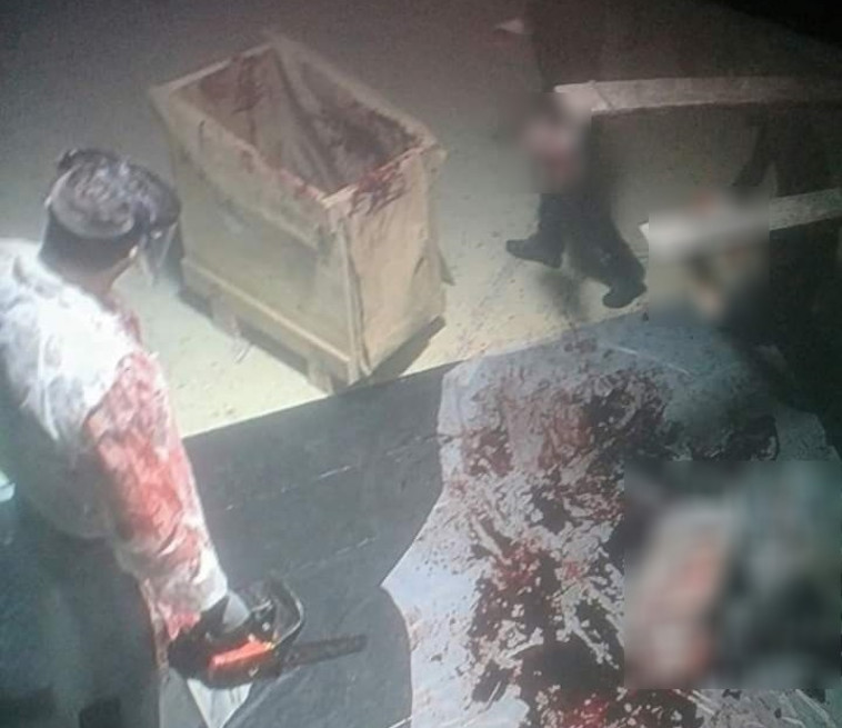 התמונות המזעזעות שפורסמו. צילום: רשתות ערביות