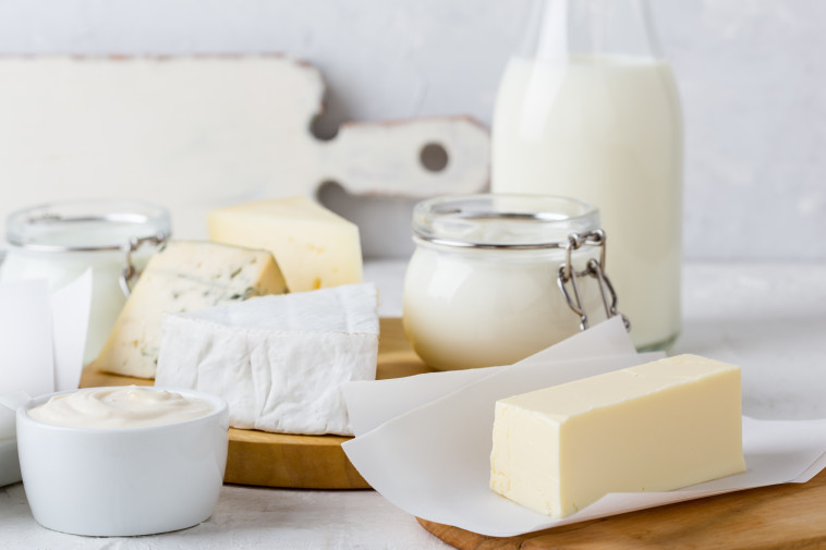 חמאה, גבינות