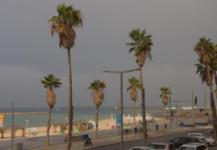 חורף בתל אביב. צילום: אבשלום ששוני
