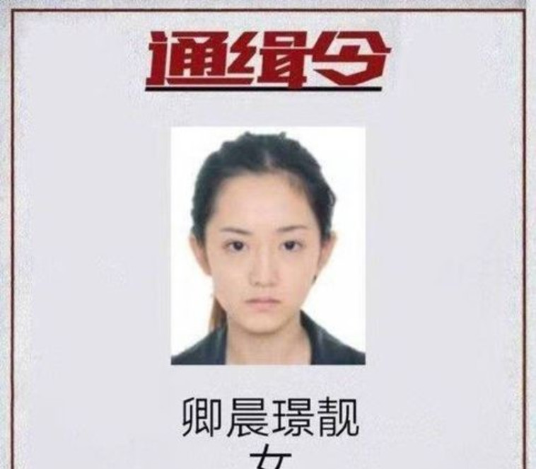 התמונה הרשמית שפרסמה המשטרה. צילום: טוויטר