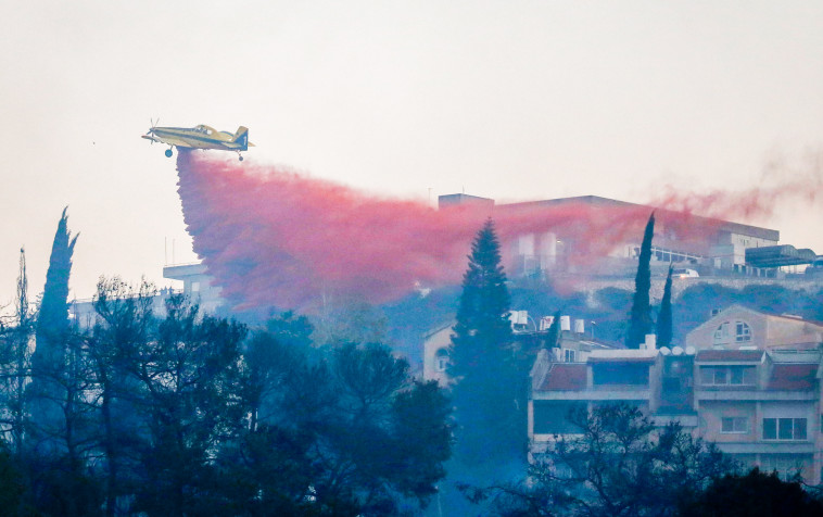 גל השריפות ב-2016. צילום: מאיר וקנין, פלאש 90